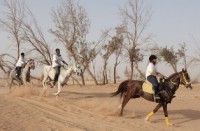 إهمال البلدية يدعو رعاة الماشية لجمع وقص الأشجار والأعشاب بطريق الملك عبدالعزيز