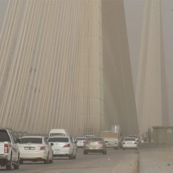 “الدفاع المدني” يحذر من شبه انعدام في الرؤية على منطقة الرياض بسبب الغبار