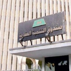 مسؤول مصري: تدفق استثمارات سعودية كبيرة إلى القاهرة خلال الأشهر المقبلة
