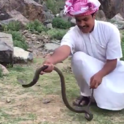 بالفيديو.. “مقناص” الأمير محمد بن نايف في الجزائر