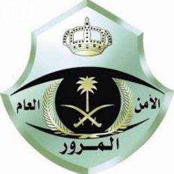 فيديو طريف .. خلاف حاد بين قطين في الحرم و الأمن يتدخل