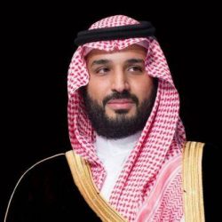 بالصور.. وزير الداخلية يدشن منصة “أمن” الإلكترونية للعمل الشرطي