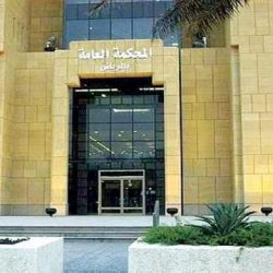 الإمارات: السجن والغرامة لشابين عاكسا فتاة عبر إعطائها حسابا على “سناب شات”
