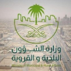 بالفيديو.. نابشو النفايات في جدة.. تكسّب من جمع الحديد والسكراب وعمل منظم في أزقة عشوائية