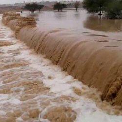“الأرصاد”: استمرار الأمطار الرعدية اليوم مصحوبة بزخات البرد على الرياض وعدد من المناطق