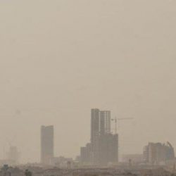 وزارة البيئة تحظر مؤقتاً استيراد البصل المصري