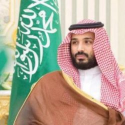 بالصور.. الأمير محمد بن سلمان يلتقي السيسي وتيريزا ماي