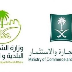 برعاية وزير النقل.. تدشين مركبات الأجرة الجديدة غداً في مطار الملك خالد بالرياض