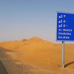 شاهد.. 6 أعمال إبداعية بصحراء العلا مستوحاة من تراث وطبيعة المنطقة