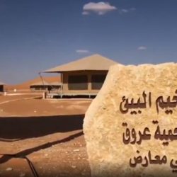 فيديو يوثق لحظات اعتراض وتدمير طائرات بدون طيار مفخخة أطلقها الحوثيون صوب المملكة