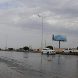 بالفيديو.. “شرطة الرياض”: القبض على مواطن أطلق أعيرة نارية في الهواء داخل أحد أحياء الأفلاج