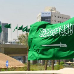 بالفيديو.. “أمانة الرياض” تضبط التعديات على الأراضي الحكومية