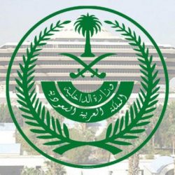 دهس وسرقة ومخدرات.. الإطاحة بـ6 مواطنين ومقيم تعدوا على دوريات الأمن وسلبوا المارة في الرياض
