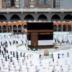 ‏”أضاحي” ينفذ أكثر من 100 ألف أضحية لضيوف الرحمن