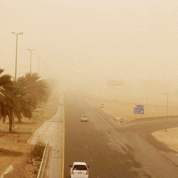 “هيئة النقل”: 5 أيام على الرصد الآلي لمخالفات سيارات الأجرة في مدينة الرياض