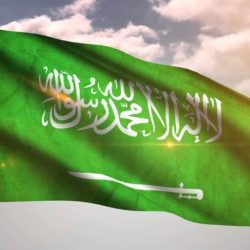 نقل ملكية الشركة السعودية لشراء الطاقة للدولة