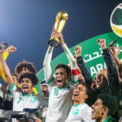 مستويات كبيرة وأداء متميز.. “الفيصل” يبارك للاعبي الأخضر تحقيقهم لقب كأس العرب للشباب