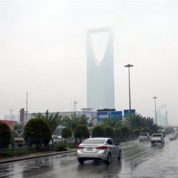 “السوق المالية” توافق على الطرح العام لـ”صندوق البلاد المرن للأسهم السعودية”