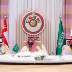 ملك البحرين: القمم الثلاث تؤكد مدى الحرص على تكثيف التعاون والتنسيق في مختلف المجالات