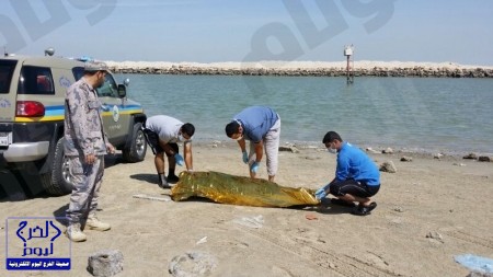 خادم الحرمين يأمر بتعيين وترقية 20 قاضيًا بـ”ديوان المظالم”