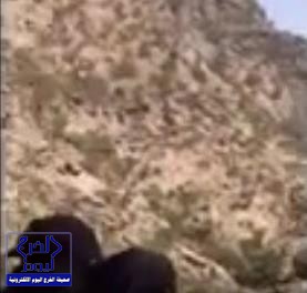بالفيديو.. شاهد كيف علق والد أحد ضحايا على هجوم حسينية سيهات