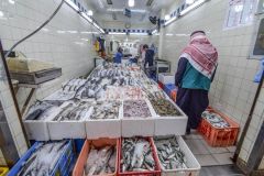ضبط 1.5 طن من الأسماك الفاسدة ومجهولة المصدر في سوقين الرياض