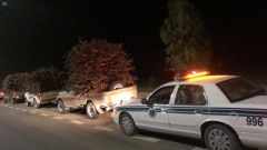 ‏”أمن الطرق” يضبط 181 شاحنة محملة بالحطب المحلي ‏ويقبض على 45 مواطنا و7 مقيمين