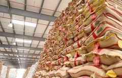 الشعلان: السعوديون يستهلكون 9 آلاف طن من الأرز يوميا وحجم الطلب يرتفع نهاية رمضان