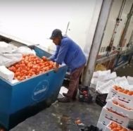 بلدية خميس مشيط تعلّق على فيديو تعبئة عمالة للطماطم من صندوق النفايات
