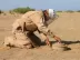 “مسام” يطهر 56.6 مليون متر من الألغام باليمن