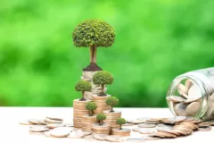 “القروض الخضراء” لتمويل المشروعات صديقة البيئة