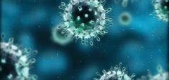 طرق سهلة للوقاية من فيروس “كورونا”