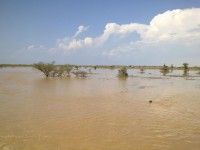 سحب كثيفة على أغلب مناطق المملكة وأمطار على عدد من المناطق والمحافظات حاليا وسحب كثيفة تغطي محافظة الخرج ومراكزها  ( تحديث )