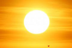 الزعاق: اليوم أول “الجوزاء” وتصل فيه الحرارة لأعلى معدلاتها.. وهذه أبرز سماته