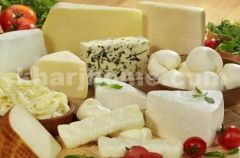دراسة: تناول الجبن يطيل عمر الإنسان