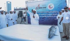 بالفيديو والصور.. بيع سمكة بـ125 ألف درهم في مزاد بالإمارات