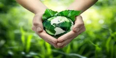 المملكة تتصدى للتحديات البيئية “إقليمياً” و “دولياً”