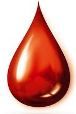 التبرع بالدم يحفز إنتاج خلاياجذعية ويقي من النوبات القلبية