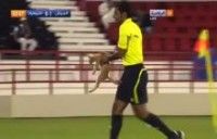 قط  يوقف مباراة في الدوري القطري (فيديو)