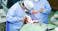 محاكمة طبيب «السمنة» الهارب غيابياً بتهمة قتل 10 سعوديات