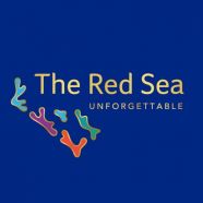 بالفيديو والانفوجراف.. التفاصيل الكاملة لمشروع البحر الأحمر السياحي