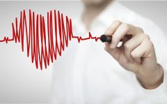 في اليوم العالمي للقلب..6 نصائح وتوصيات لتجنب الأمراض القلبية