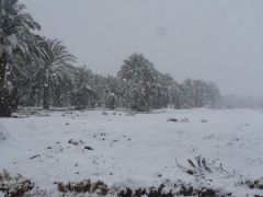بالفيديو.. “الأرصاد”: هذه المناطق تشهد تساقطًا للثلوج.. والكتلة الهوائية تدخل الرياض خلال أيام
