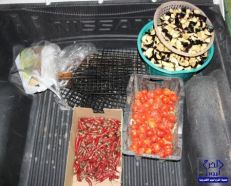 بلدية الدلم تصادر مواد غذائية وأدوات غير صالحة للاستعمال