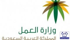 وزارة العمل تطلق استبيان “القوى العاملة في المملكة”
