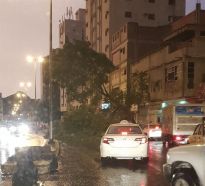 إثر الأمطار الغزيرة.. سقوط شجرة يغلق شارعًا بمكة والجهة المسؤولة تفتح الطريق