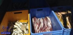 بالصور..ضبط آسيوي يبيع أسماك فاسدة وإغلاق عطارة تروج كبسولات جنسية