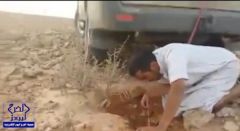 بالفيديو..شاب يتعرض للدغة سامة من ثعبان مختبئاً في أحد الجحور