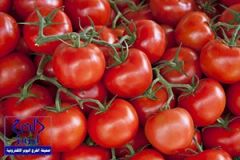 لهيب الصيف يرفع أسعار “الطماطم” وتوقعات بوصولها 80 ريالاً