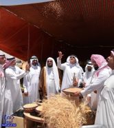 مهرجان البر يمهد لإبراز وتسويق منتجات 6 آلاف مزرعة والمدرجات والمسطحات ببلسمر